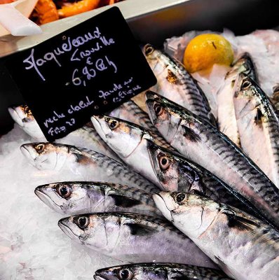 Picture of Mackerel Bangda Fish