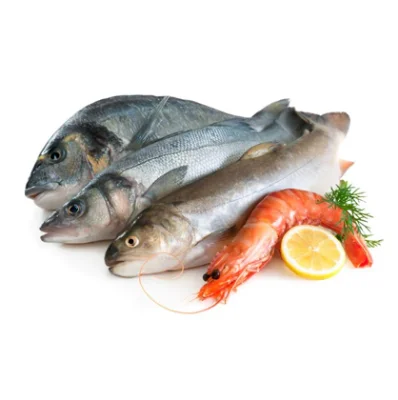 Picture of Fresh Fish