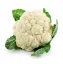 Picture of Cauliflower